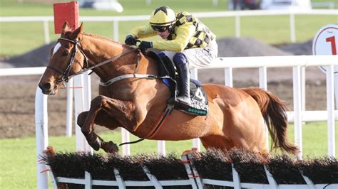 cheltenham champion hurdle betting|Champion Hurdle 2024 .
